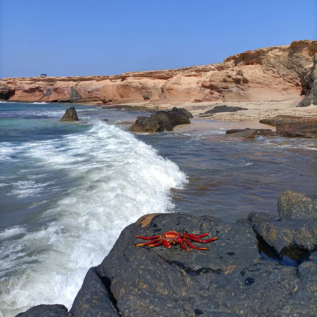 Ruta Cofete-Punta Jandía 4