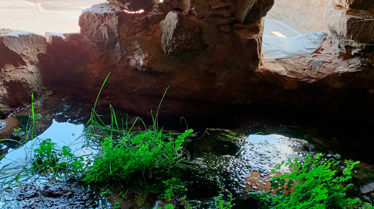 Ruta Fuerteventura especial Norte con Norte y Solana