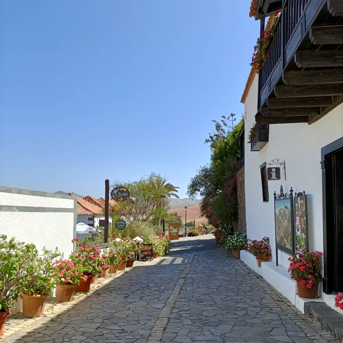 Ruta Fuerteventura y sus orígenes 5