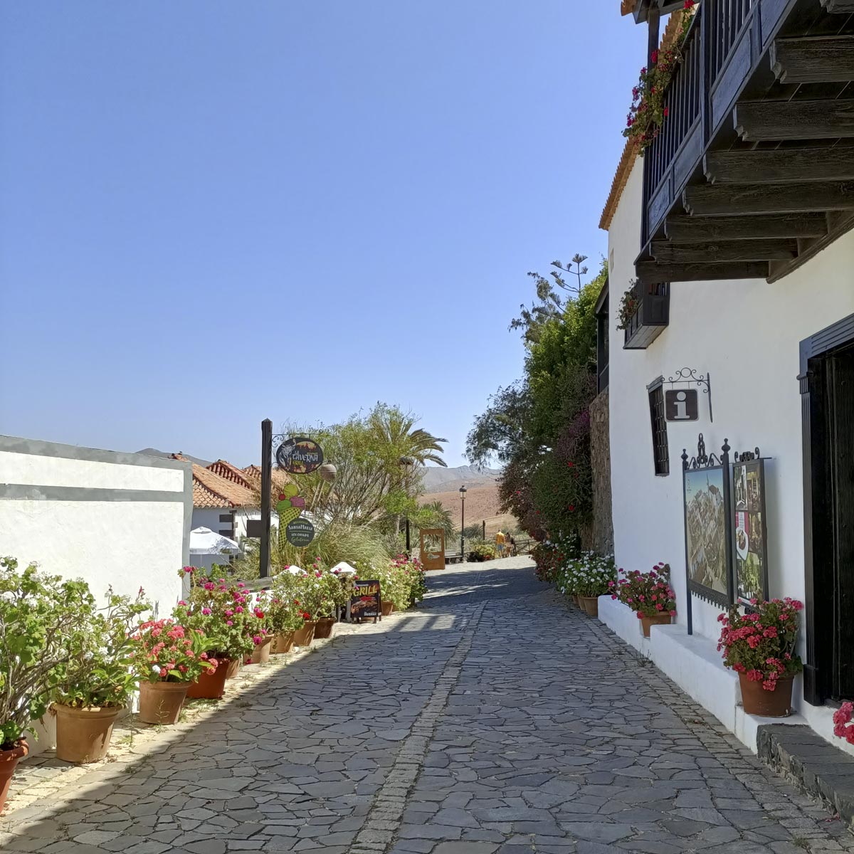 Ruta por Betancuria y el Pinar, en Fuerteventura, con Norte y solana